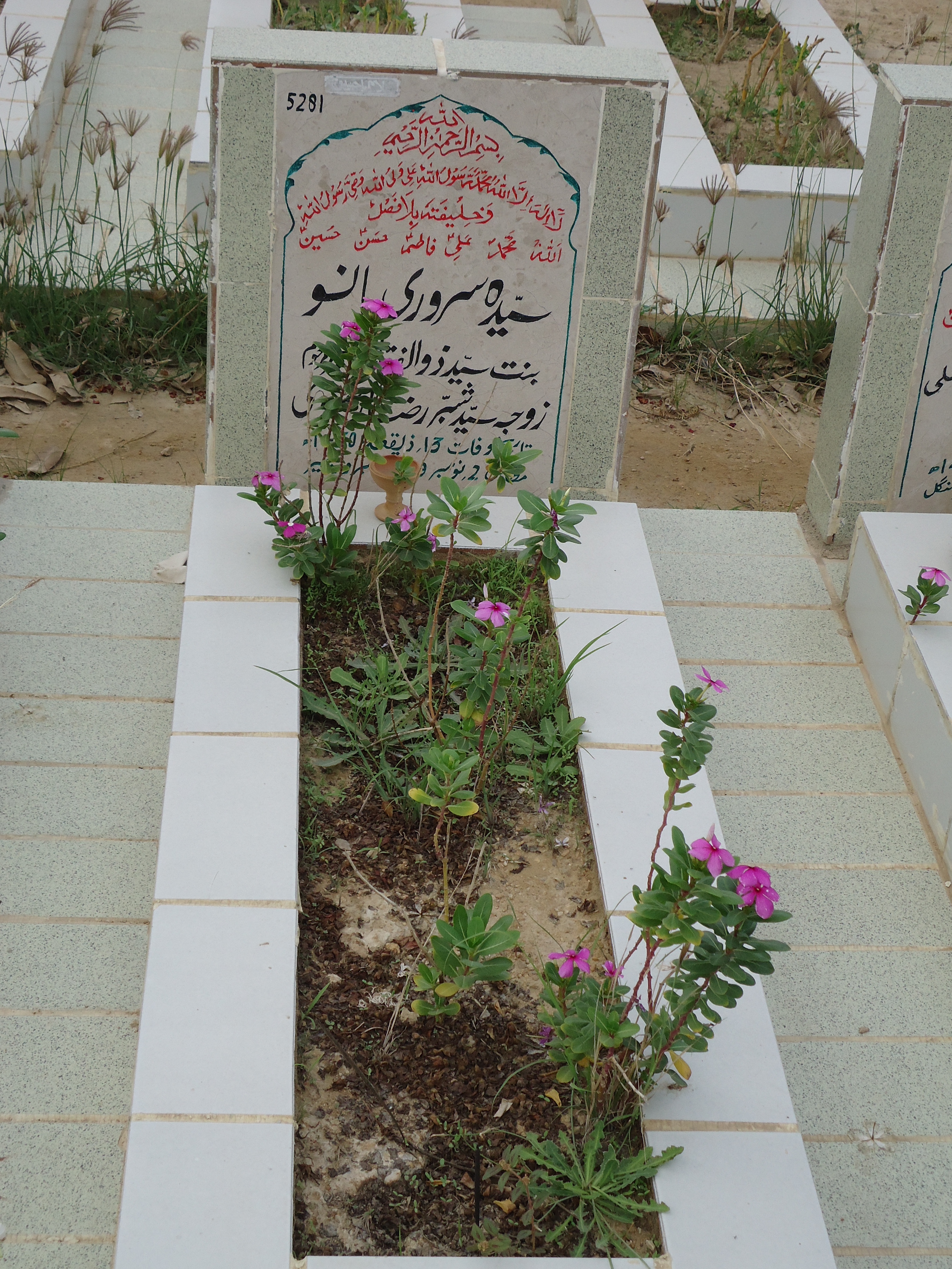 5281 – Syeda Sarwari Bano